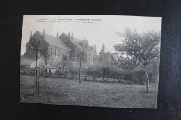 &-228/Tongeren -Tongres  O.-L  Vrouwecollege - Boomgaard En Moestuin - Collège  Notre-Dame - Verger Et Potager / 1922 - Tongeren