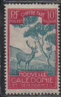 NOUVELLE CALEDONIE NEW NUOVA CALEDONIA 1928 POSTAGE DUE STAMPS TAXE SEGNATASSE MALAYAN SAMBAR 10c MNH - Portomarken