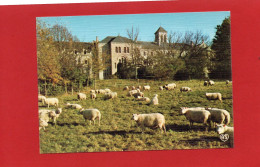 81----DOURGNE---Abbaye De Saint-Benoît D'En Calcat--Façade Ouest--voir 2 Scans - Dourgne