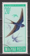 Hongarije, Hungary, Ungarn, Magyar Used ; Zwaluw Swallow Hirondelle NOW MANY BIRD STAMPS FOR SALE - Golondrinas