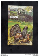 YUGOSLAVIA, CARTE MAXIMUM - BIRDS-Tetrao Urogallus + - Koekoeken En Toerako's