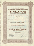 Titre De 1928 - Sté Industrielle Katangaise Pour L'Exploitation Forestière De Cultures Et D'Elevage - SINKAFOR - - Afrique