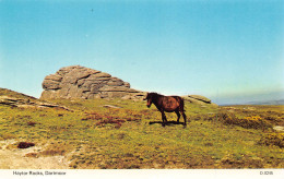 DARTMOOR - Haytor Rocks - Dartmoor