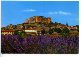 CPSM 10.5 X 15 Alpes De Haute Provence GREOUX LES BAINS Vue Générale  (Le Château Des Templiers) - Gréoux-les-Bains