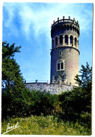 CPSM / CPM 10.5 X 15 Isère PONTCHARRA SUR BREDA  La Tour D'Avallon. Saint Hugues D'Avallon, Moine Au Couvent De * - Pontcharra