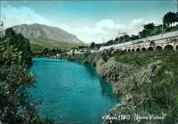 PONTE ( BENEVENTO ) FIUME CALORE - EDIZIONE SIMEONE - SPEDITA 1968 (15788) - Benevento