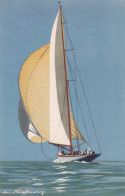 ILLUSTRATEUR(HAFFNER) BATEAU A VOILE - Haffner