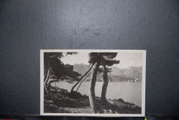 CP, 06, ALPES MARITIMES,LA DOUCE FRANCE. MENTON ,  CAP MARTIN, PINEDE EN BORDURE DE MER, YVON. 227 - Menton