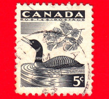 CANADA - Usato - 1957 - Settimana Nazionale Della Fauna Selvatica - Uccelli - Strolaga Beccogiallo (Gavia Adamsii) - - Usati