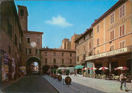 IMOLA - PIAZZA CADUTI PER LA LIBERTA - - EDIZIONE PIZZINAT - SPEDITA 1976 (15857) - Imola