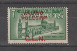 C.L.N.- ARIANO  POLESINE :  1944  ESPRESSO  PALERMO  -  £. 1,25  VERDE  N. - Centraal Comité Van Het Nationaal Verzet (CLN)