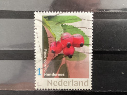 The Netherlands / Nederland - Fruit, Hondsroos 2021 - Used Stamps