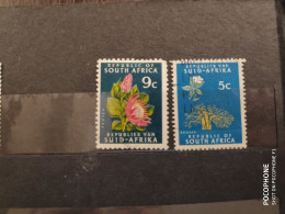 South Africa	Flowers (F4) - Usati