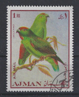 Ajman Used ; Papegaai Perroquet Perruche Parrakeet Parrot Papagayo Cotorra Parkiet - Perroquets & Tropicaux