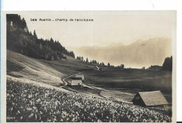 VAUD  SUISSE - La Tour De PEILZ  '(cachet),  LES AVANTS CHAMP DE NARCISSES  VUE GENERALE 1918 - La Tour-de-Peilz