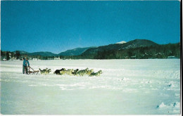 Etats Unis  - Lake  Placid , N.Y New York  In The  Adirondacks - Mushing  And  Dog Sled Races Are A Popular Winter Sport - Adirondack