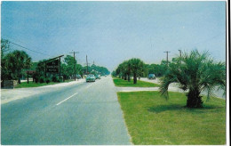 Etats Unis -  Myrtle  Beatch  - South Carolina -  Palms Line Tke King's Higway  In Myrtle Beach - Myrtle Beach