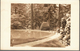 NEW-YORK 1930's - Rare Carte-photo De Belmont Park (LONG ISLAND - North Babylon) - Parques & Jardines