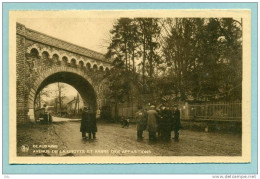 BEAURAING. Avenue De La Grotte Et Arbre Des Apparitions. Animée - Neuve - Beauraing