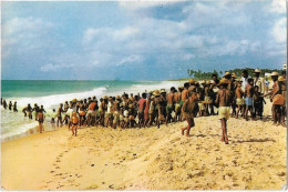 Bresil    Salvador  - -  Com A Puxada  Da Rede Na Praia  Dar Armacao  -  Pesca  Do Xareu - Salvador De Bahia