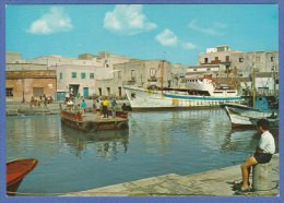 MAZARA Del VALLO (TRAPANI) - F/G  Colore (271209) - Mazara Del Vallo