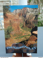 Cp Zion National Park UTAH  N°24 - Zion