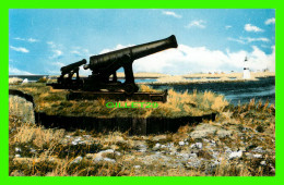 ST-PIERRE ET MIQUELON, FRANCE - LA POINTE AUX CANONS - JEAN BRIAND PHOTOGRAPHE - - Saint-Pierre-et-Miquelon