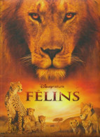 Félins De Disney (2012) - Disney