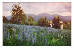 WHITE MOUNTAINS (ESTADOS UNIDOS) • PRESIDENTIAL RANGE - White Mountains