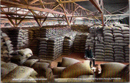 Oregon Portland Wheat In An Oregon Warehouse - Portland