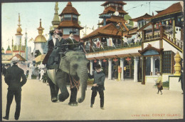 USA - NY - CONEY Is - LUNA PARK - 1908 - Parques & Jardines