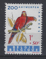 Belgie Belgique Belgica Belgium MNH ; Papegaai Perroquet Perruche Parrakeet Parrot Papagayo Cotorra Parkiet - Perroquets & Tropicaux