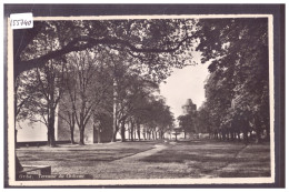 DISTRICT D'ORBE - ORBE - TERRASSE DU CHATEAU - TB - Orbe