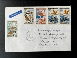 SAINT PIERRE ET MIQUELON 1965 LETTER TO VRIES NETHERLANDS 30-04-1965 BIRDS - Cartas & Documentos