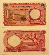 Nigeria 1 Pound 1967 100 Pcs Bundle P#8 UNC - Nigeria