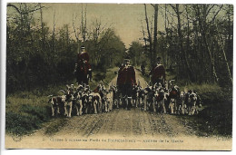 CHASSE A COURRE En Forêt De Fontainebleau - Arrivée De La Meute - Chasse