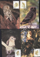 CISKEI SOUTH AFRICA 1991 BIRDS FAUNA OWLS GUFI COMPLETE SET SERIE COMPLETA MAXI MAXIMUM CARD - Ciskei