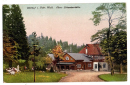 Allemagne--OBERHOF  I.Thür. Wald -- Obere Schweizerhütte...colorisée....timbre...cachet - Oberhof