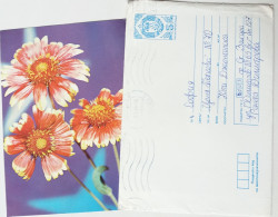 #80 Traveled Envelope And Postcard Flowers Cirillic Manuscript Bulgaria 1981 - Local Mail - Covers & Documents