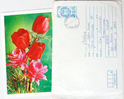 #80 Traveled Envelope And Postcard Flowers Cirillic Manuscript Bulgaria 1981 - Local Mail - Covers & Documents