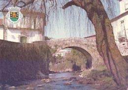 Vouzela - Rio Zela / Ponte Romana / Românico - Viseu