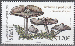 Saint-Pierre & Miquelon 2022 Champignon Entolome à Pied Droit Neuf ** - Unused Stamps