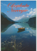 Photo Book West Norway - Okcidenta Norvegio - Livres Anciens