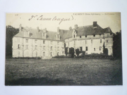 2023 - 951  VALMONT  (Seine-Maritime)  :  Le CHÂTEAU   XXX - Valmont