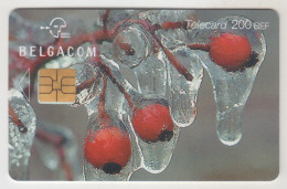 BELGIUM - Winter : Fruits , 200 BEF, Tirage 100.000, Used - With Chip