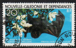 NOUVELLE CALEDONIE NEW NUOVA CALEDONIA 1978 NATURE PROTECTION FLYING FOX 27fr OBLITERE' USED USATO - Used Stamps