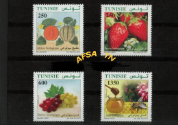 2012 Organic Farming In Tunisia // Tunisie 2012- Agriculture Biologique - Alimentation