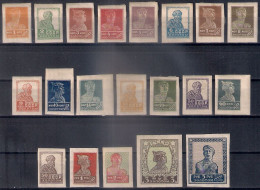 Russia 1925, Michel Nr 271B-91B, MH OG - Unused Stamps