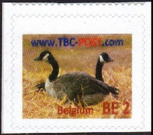 TBC POST - 41a BE-2** - Deux Oies Sauvages / Twee Wilde Ganzen - 08/2014 - Poste Privée / Privé-Post / Privater-post - Privados & Locales [PR & LO]