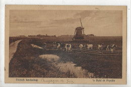 Heerenveen (Pays-Bas, Friesland) : 'n Byld ût Fryslàn En 1930 PF. - Heerenveen